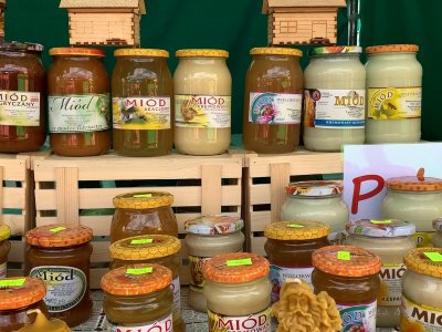 pasieka-na-wzniesieniach-lodzkich